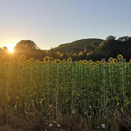 Lovely In Condat-sur-vézère Condat-sur-Vezere